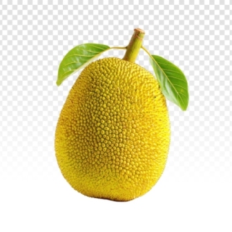Jackfruit